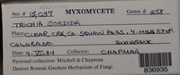 Image Associated With the Occurence